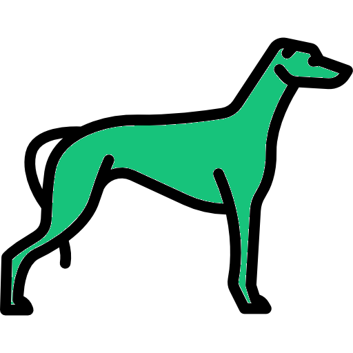 Greyhounds<